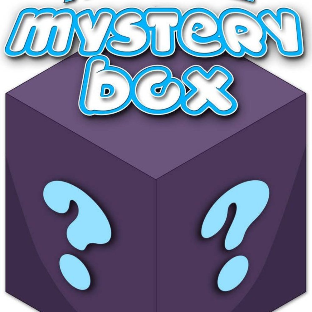 Mystery Box  .. 5 men's Lg size items for $15.00 (jackets, shirts,) mbc-5